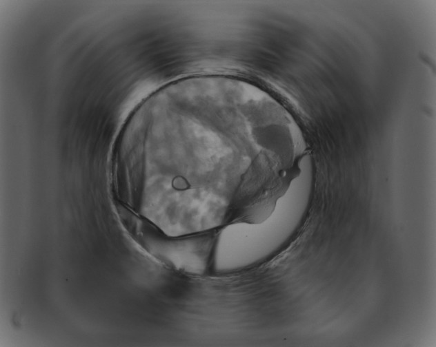 X0000091911471200710031009