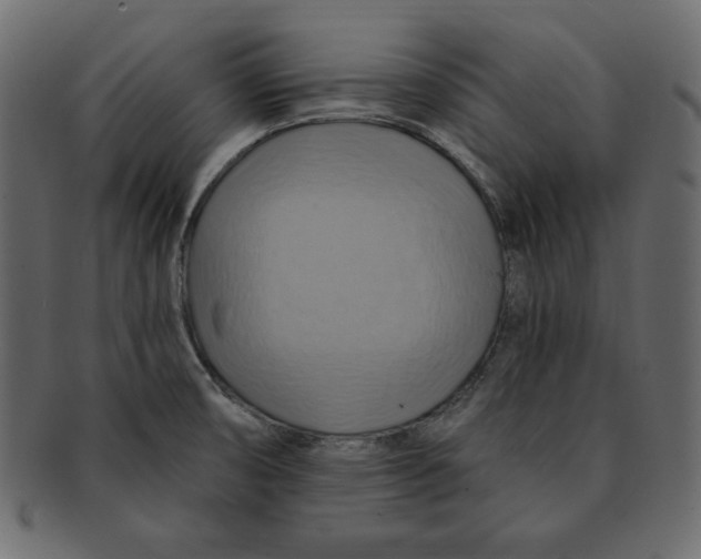 X0000091911474200710031009