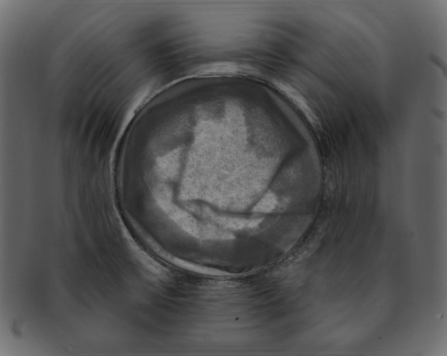 X0000091911475200710031009