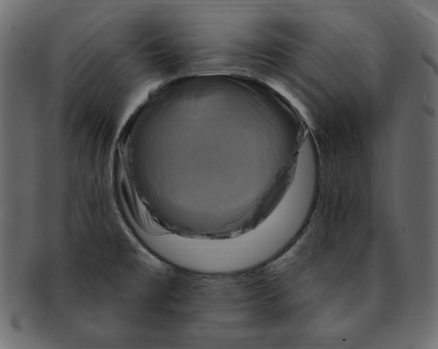 X0000091911477200710031009