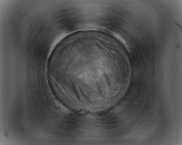 X0000091911480200710031009