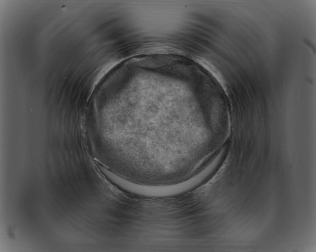 X0000091911481200710031009