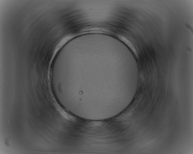 X0000091911482200710031009