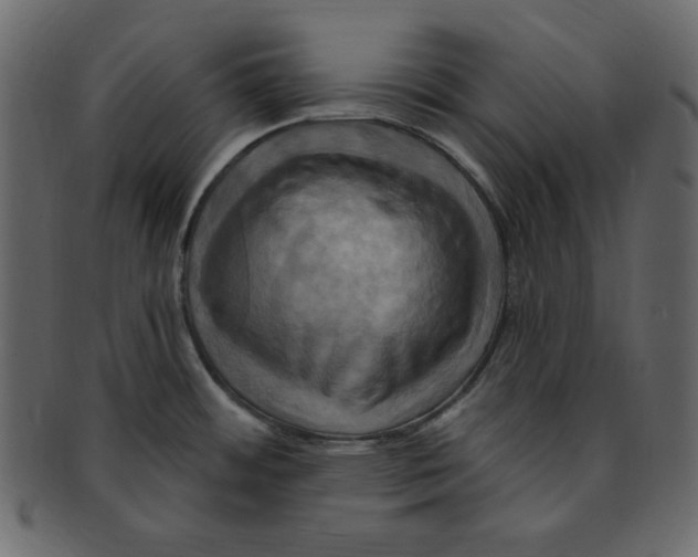 X0000091911484200710031009