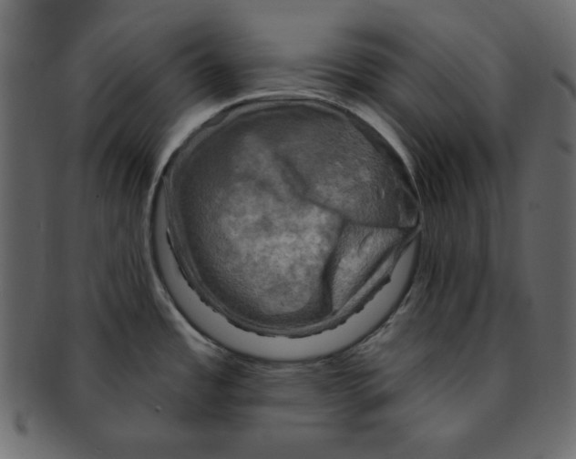 X0000091911485200710031009