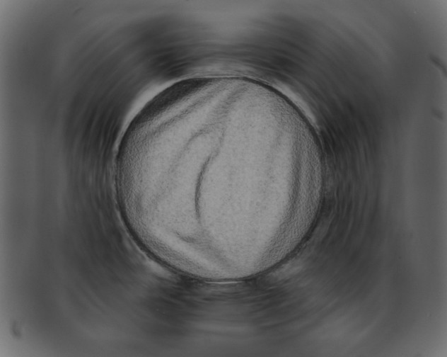 X0000091911486200710031009