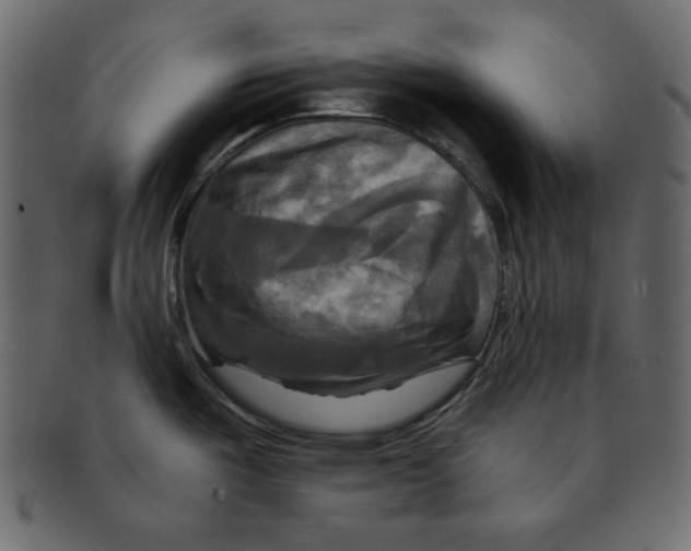 X0000091911487200710031009