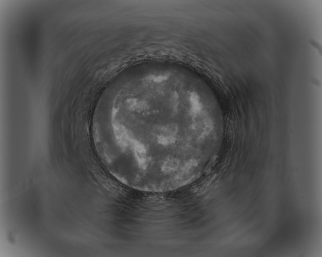 X0000091911489200710031008