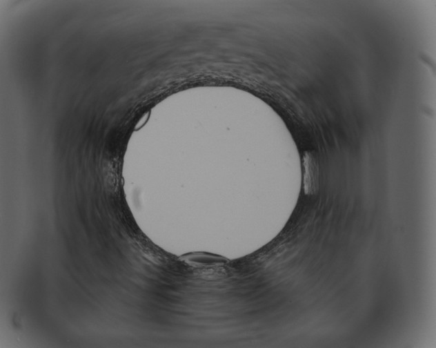 X0000091911491200710031008