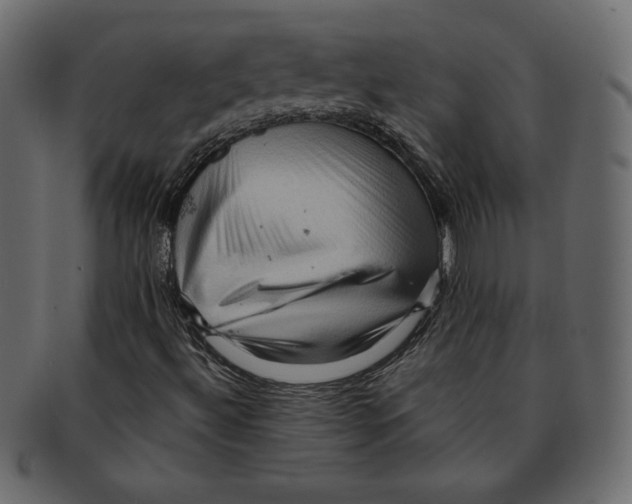 X0000091911492200710031008