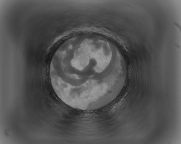 X0000091911494200710031009