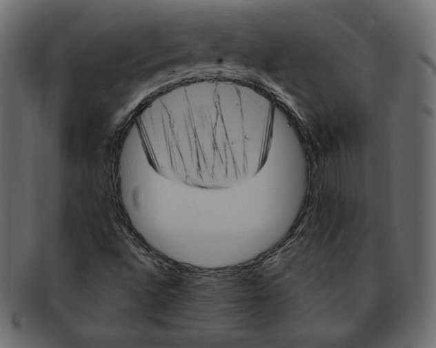 X0000091911496200710031009