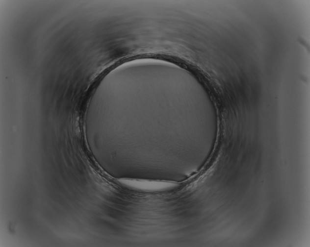 X0000091911497200710031009