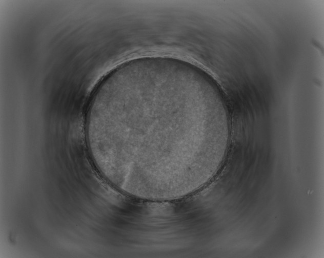 X0000091911498200710031009