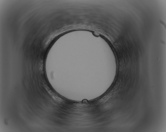 X0000091911499200710031009