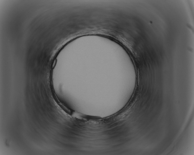 X0000091911500200710031009