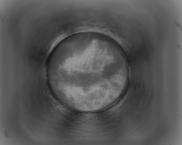 X0000091911501200710031009