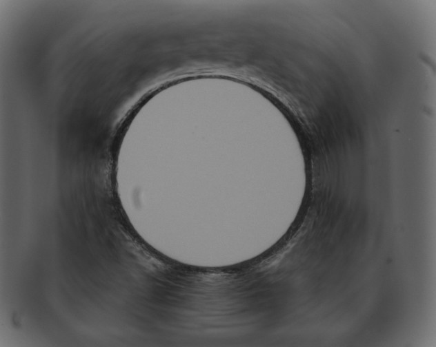 X0000091911502200710031009