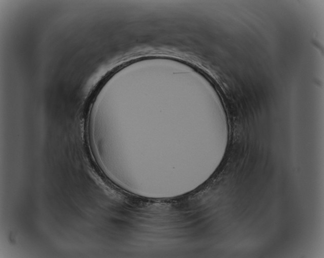 X0000091911503200710031009