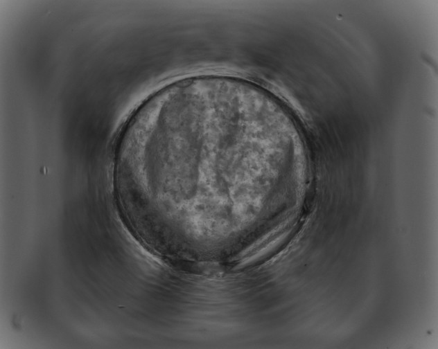 X0000091911504200710031009