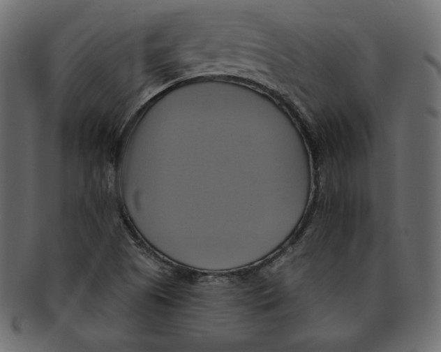 X0000091911505200710031009