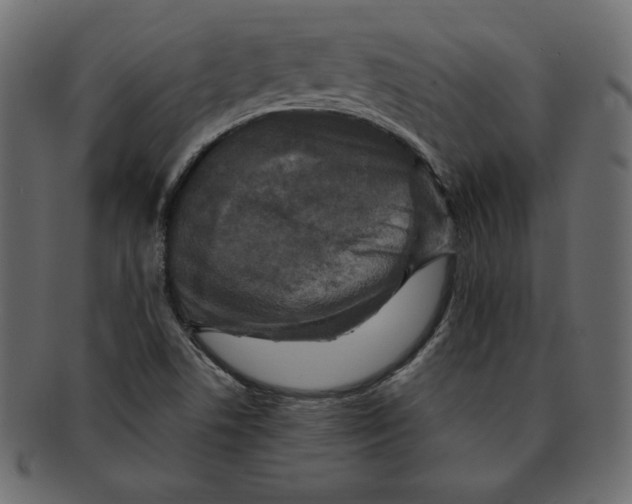 X0000091911506200710031009