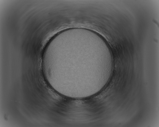 X0000091911507200710031009