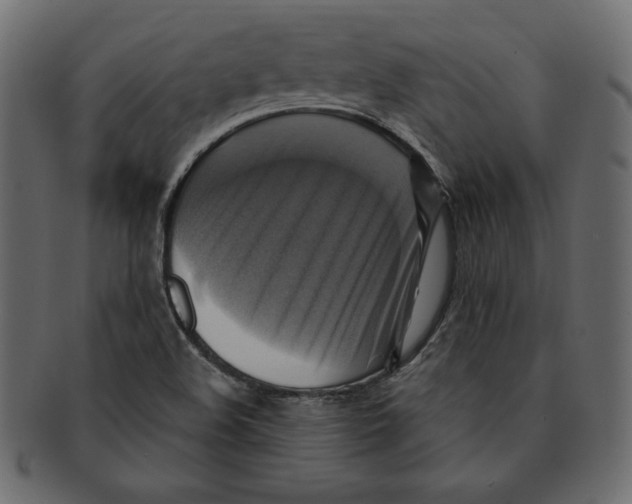 X0000091911508200710031009