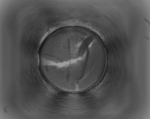 X0000091911509200710031009