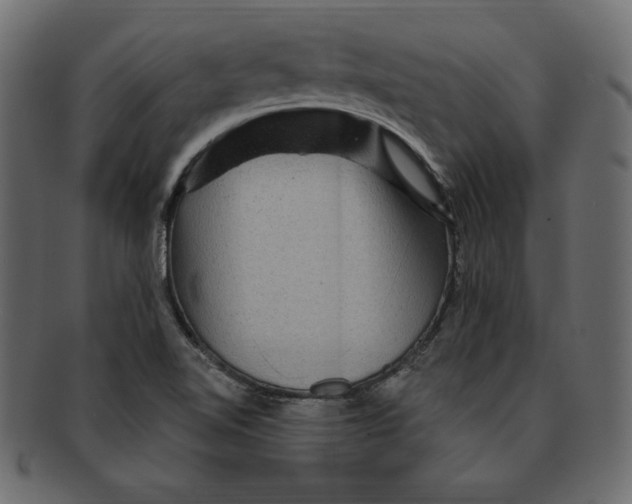 X0000091911510200710031009