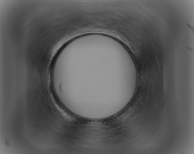 X0000091911511200710031009