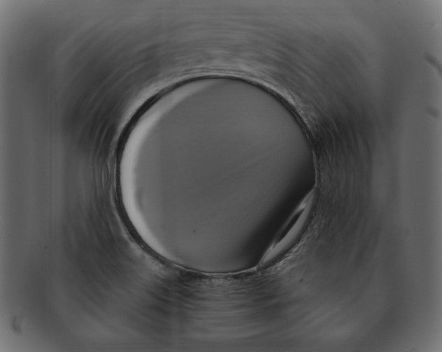 X0000091911515200710031009