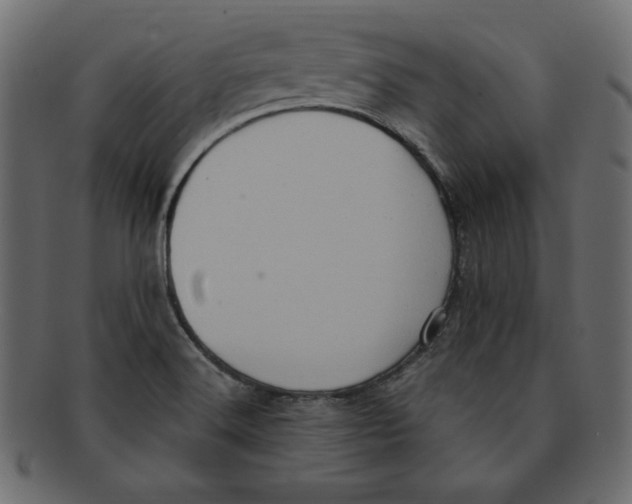 X0000091911516200710031009