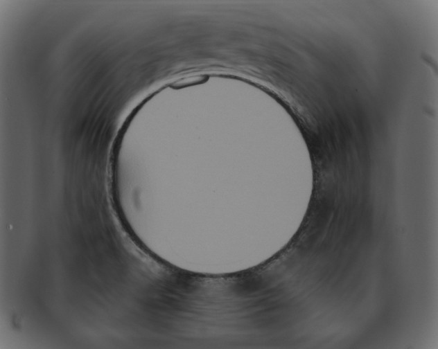 X0000091911518200710031009