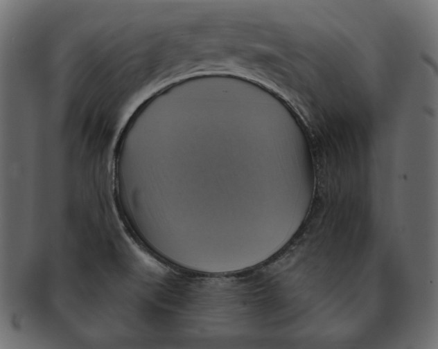 X0000091911519200710031009