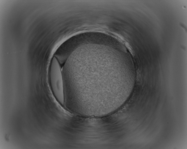 X0000091911520200710031009