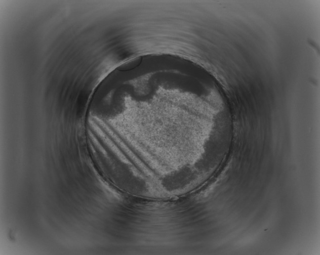 X0000091911521200710031009