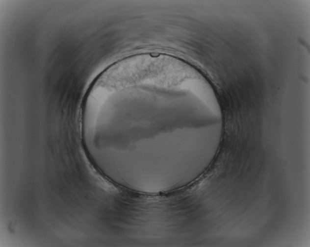 X0000091911522200710031009