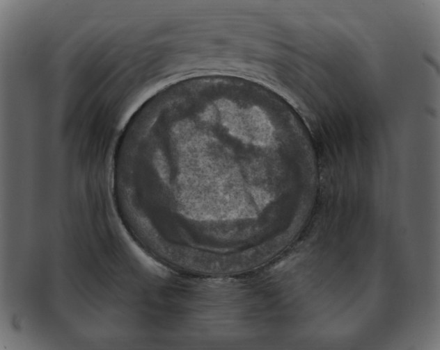 X0000091911523200710031009