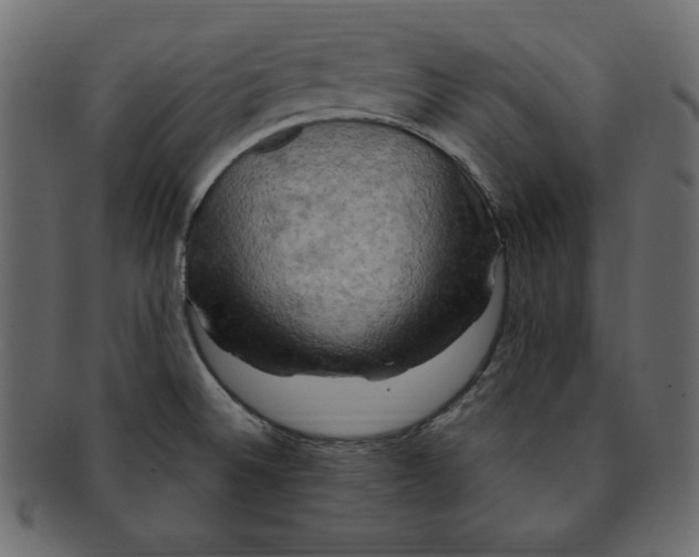 X0000091911524200710031009