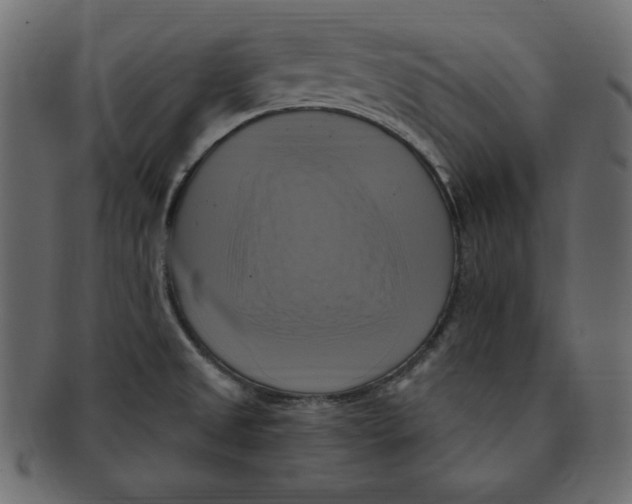 X0000091911525200710031009