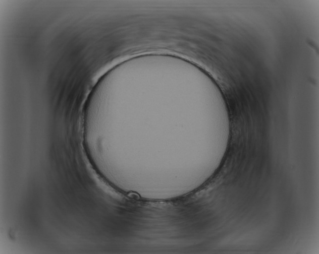 X0000091911526200710031009