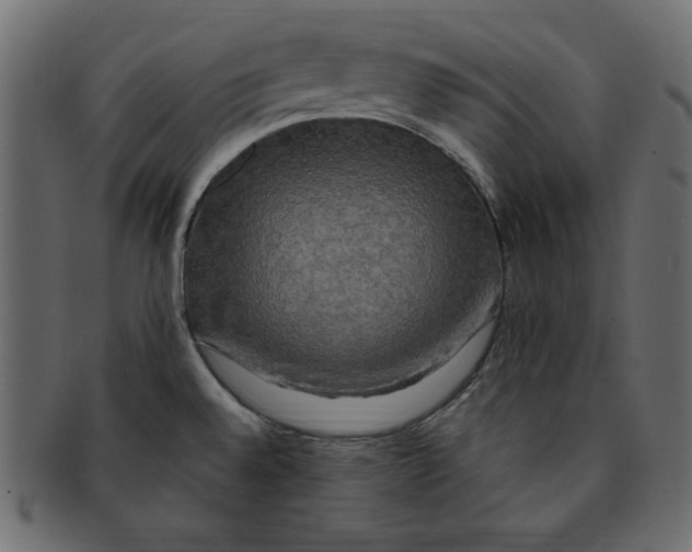 X0000091911528200710031009