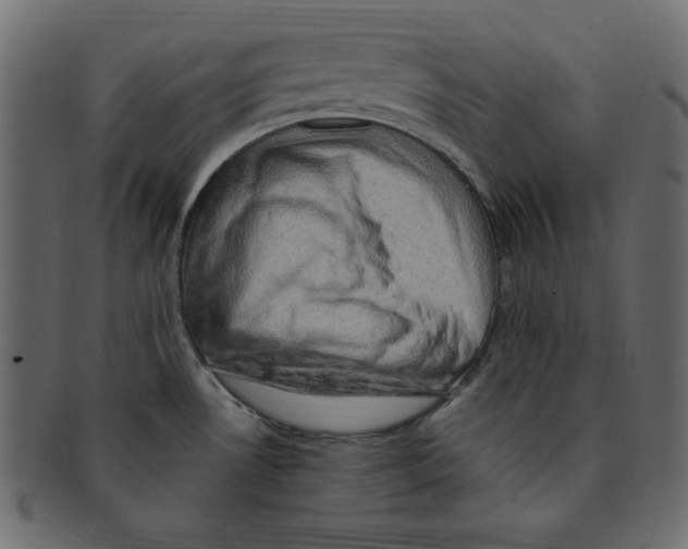 X0000091911530200710031009