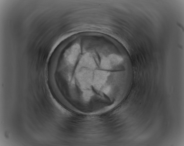 X0000091911531200710031009