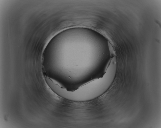 X0000091911532200710031009