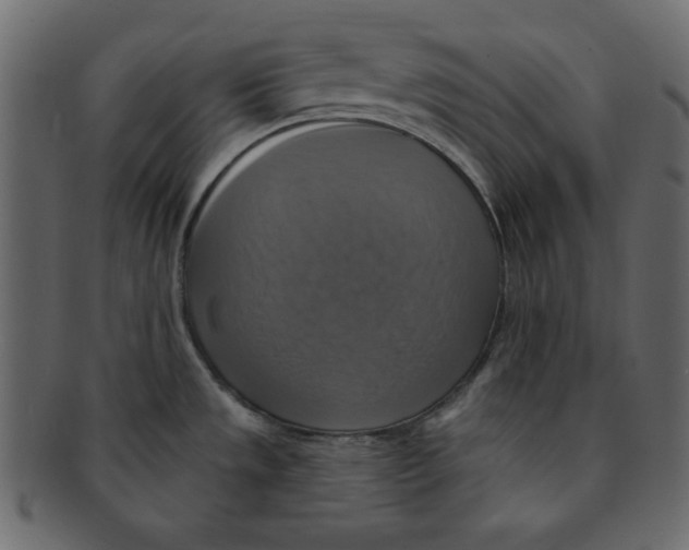 X0000091911533200710031009