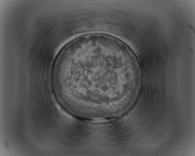 X0000091911534200710031009