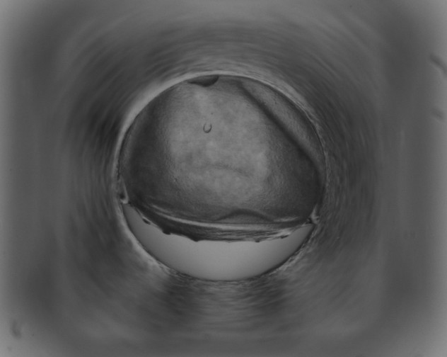 X0000091911536200710031009