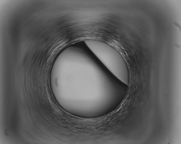 X0000091920001200709051240